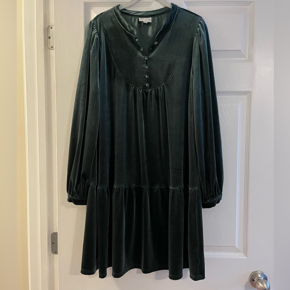 Wonderly Dark Green Velvet Long Sleeve Dress